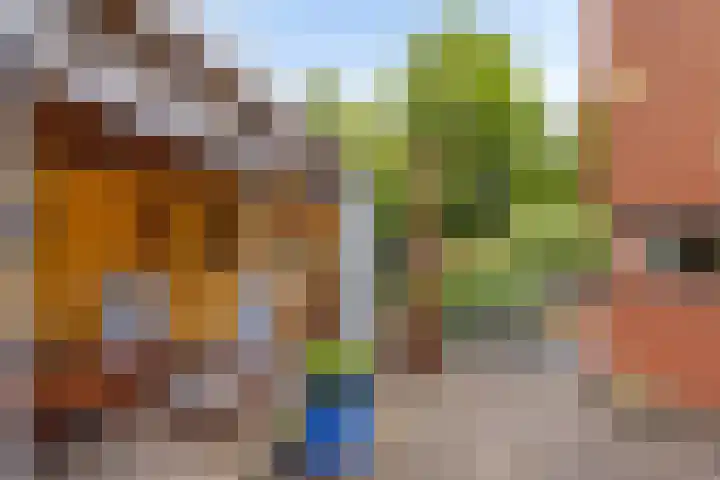 Waterdriebladlaan 77 Enschede thumbnail 42