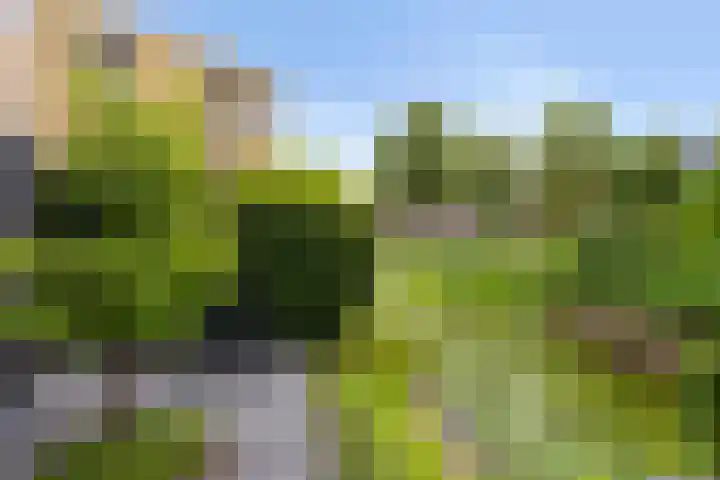 Waterdriebladlaan 77 Enschede thumbnail 45