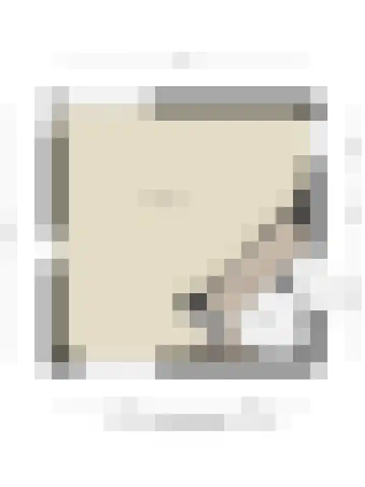 Waterdriebladlaan 77 Enschede thumbnail 49