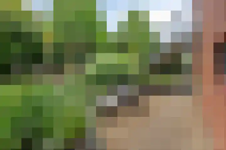 Waterdriebladlaan 77 Enschede thumbnail 5