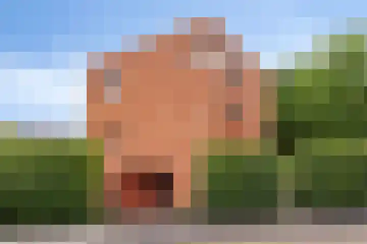 Waterdriebladlaan 77 Enschede thumbnail 6