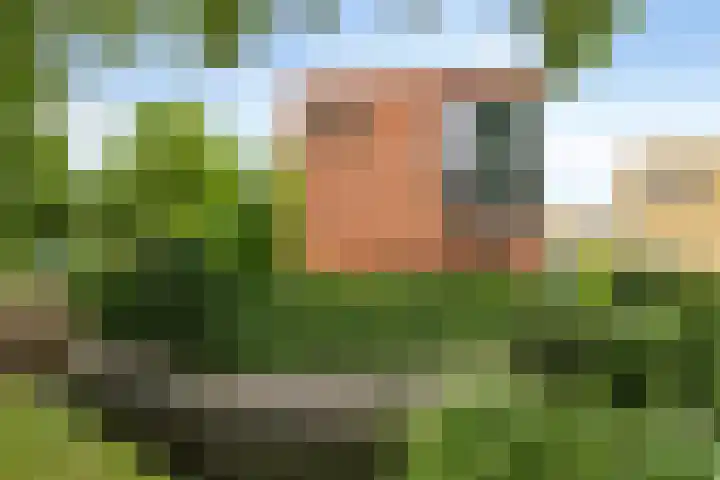 Waterdriebladlaan 77 Enschede thumbnail 8