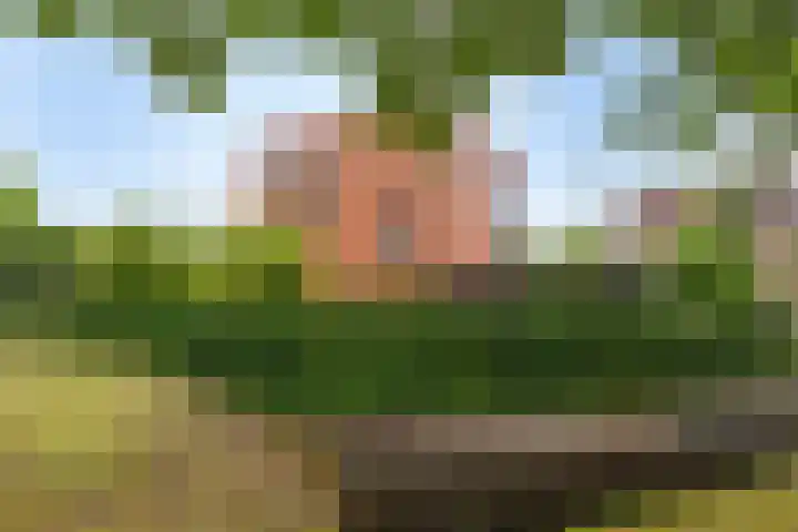 Waterdriebladlaan 77 Enschede thumbnail 9