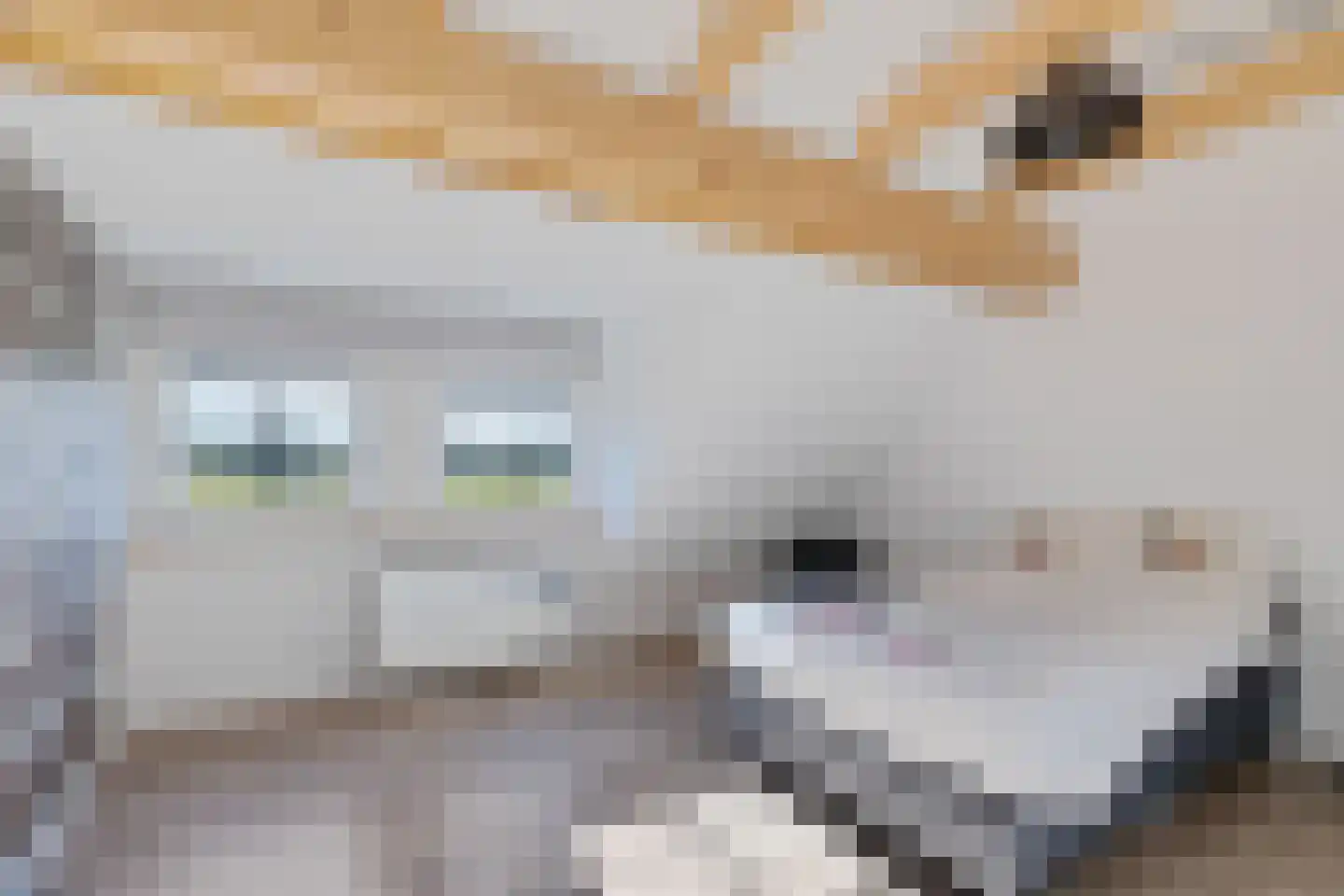 Wateren 28 Wateren thumbnail 38