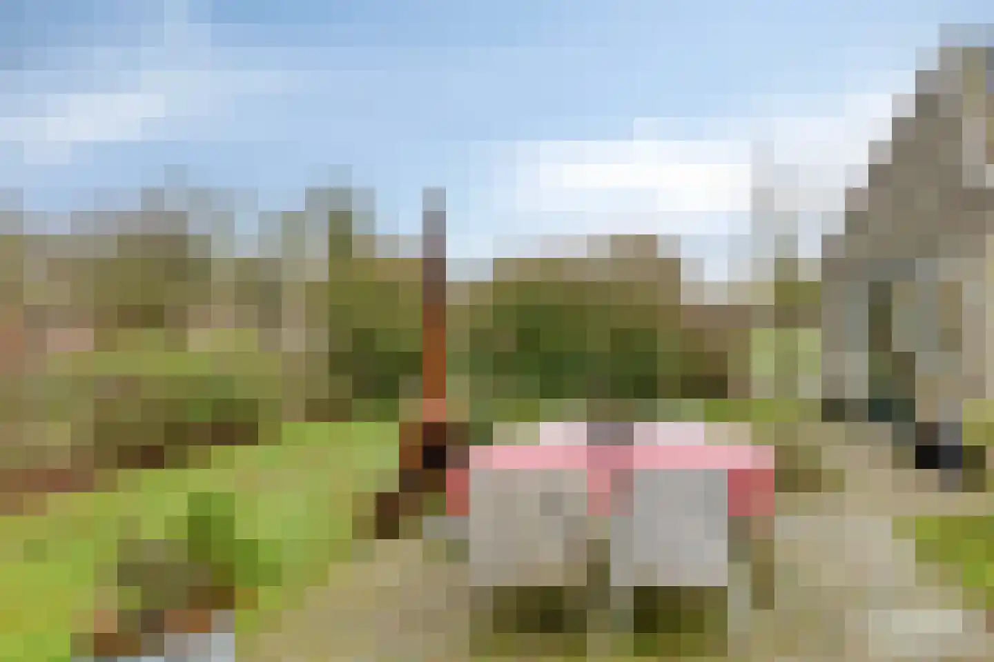 Wateren 9 Wateren thumbnail 45