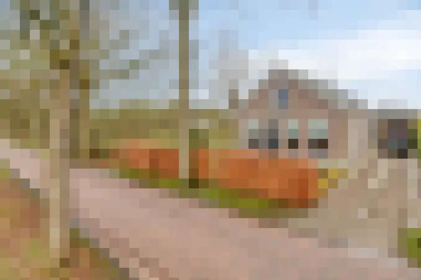 Wateren 9 Wateren thumbnail 47