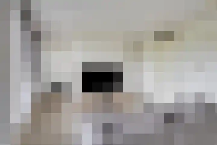 Waterfront 161 Eindhoven thumbnail 14