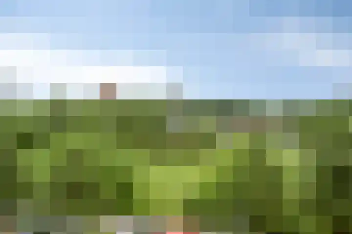 Waterfront 161 Eindhoven thumbnail 27