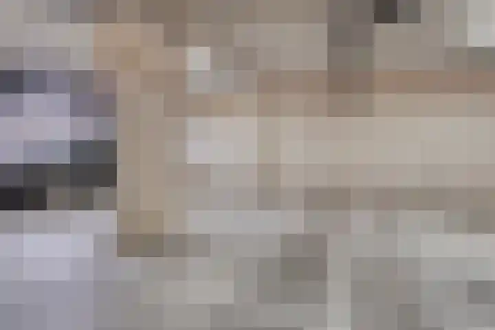 Waterfront 161 Eindhoven thumbnail 30