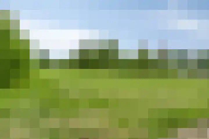 Waterfront 161 Eindhoven thumbnail 32
