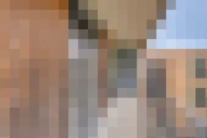Waterfront 161 Eindhoven thumbnail 9