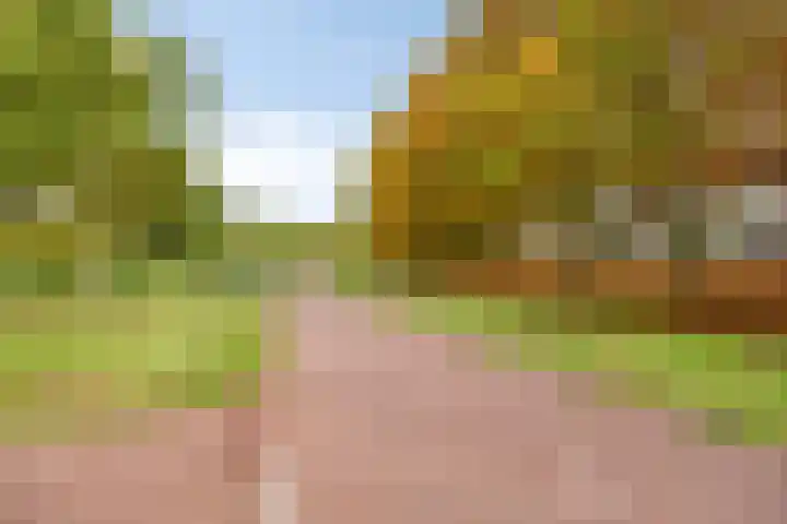 Waterfront 169 Eindhoven thumbnail 45
