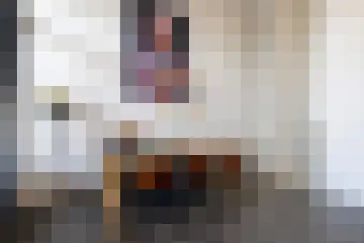 Waterfront 17 Eindhoven thumbnail 16