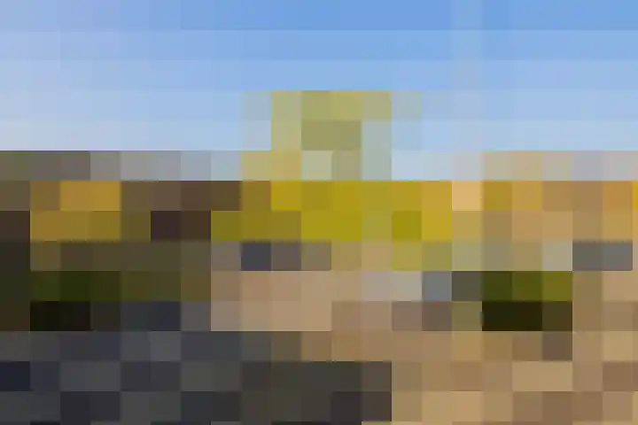 Waterfront 17 Eindhoven thumbnail 22