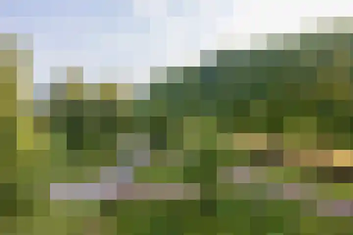 Waterfront 17 Eindhoven thumbnail 26
