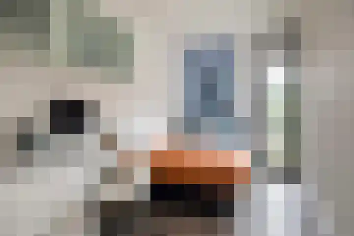 Waterfront 17 Eindhoven thumbnail 27
