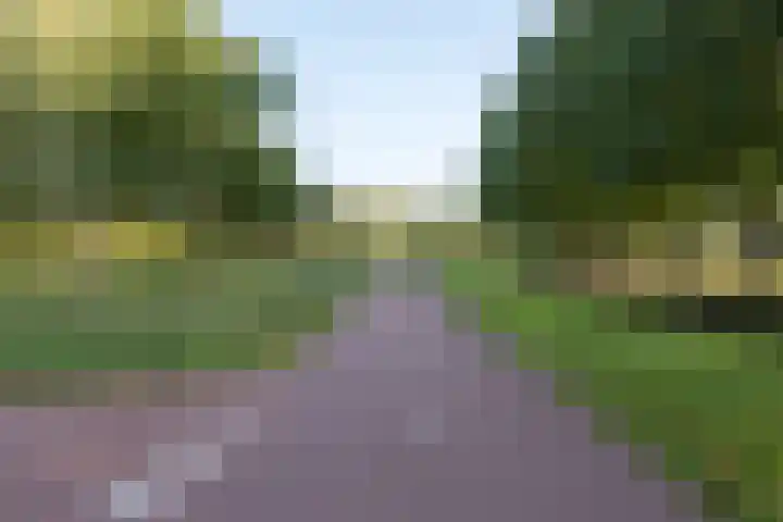 Waterfront 17 Eindhoven thumbnail 39