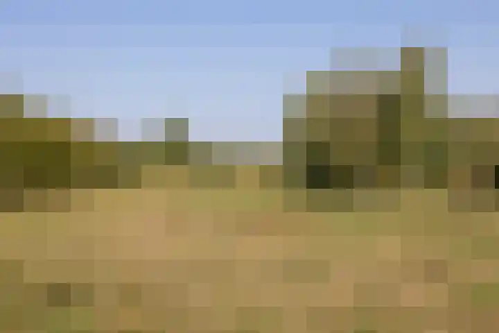 Waterfront 17 Eindhoven thumbnail 41