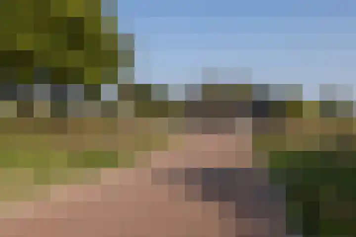 Waterfront 17 Eindhoven thumbnail 42