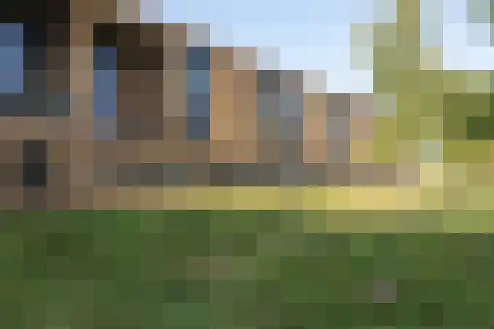 Waterfront 17 Eindhoven thumbnail 5