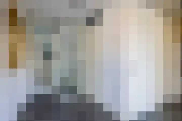 Waterfront 17 Eindhoven thumbnail 8
