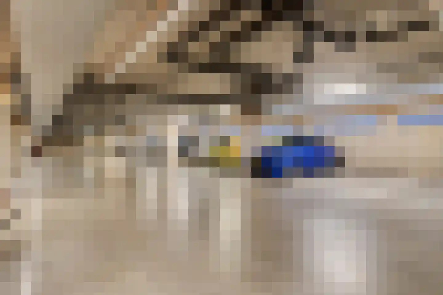 Waterfront 171 Eindhoven thumbnail 13
