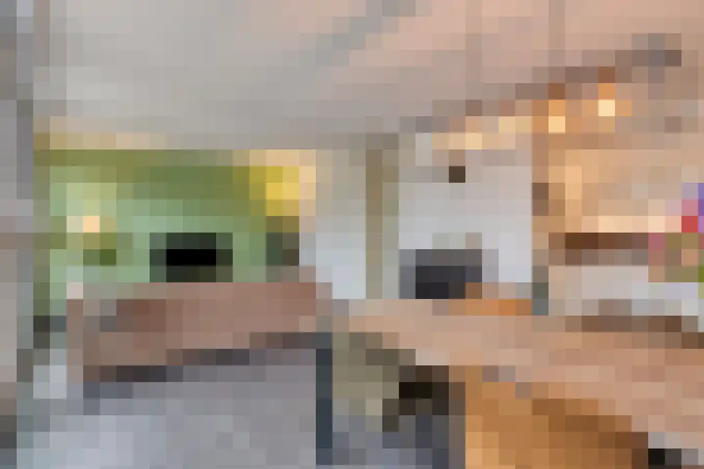Waterfront 171 Eindhoven thumbnail 20