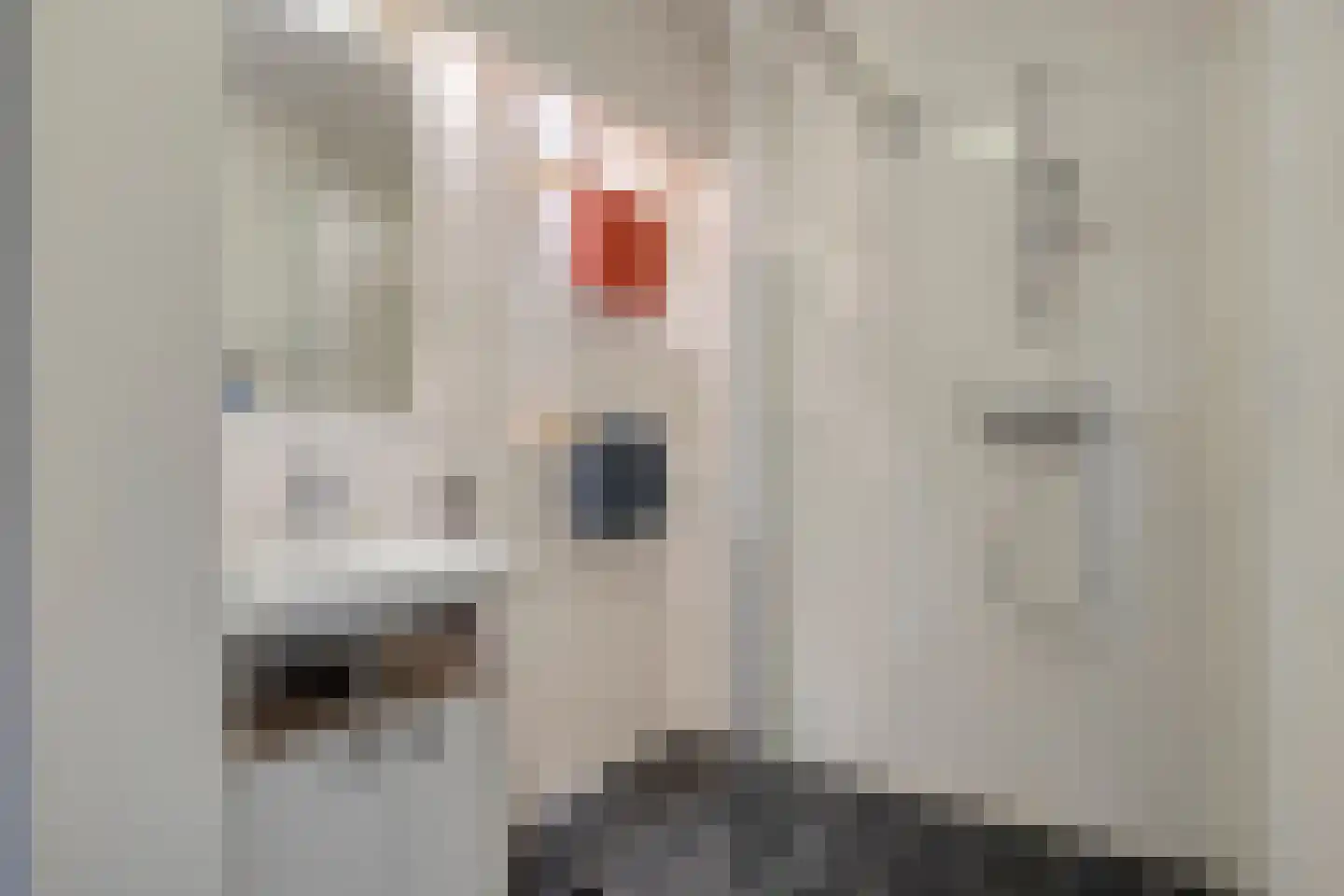 Waterfront 171 Eindhoven thumbnail 34