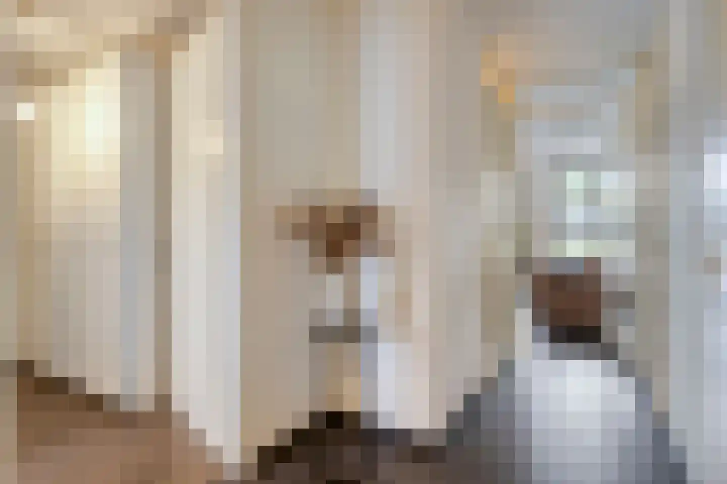 Waterfront 171 Eindhoven thumbnail 4