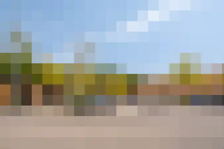 Waterfront 173 Eindhoven thumbnail 10