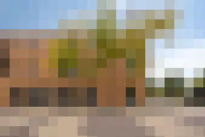 Waterfront 173 Eindhoven thumbnail 13