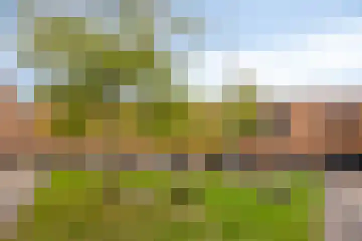 Waterfront 173 Eindhoven thumbnail 6