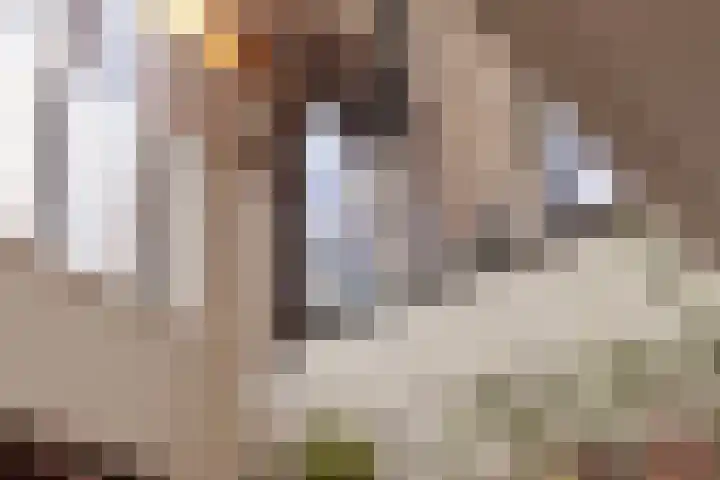 Waterfront 185 Eindhoven thumbnail 11