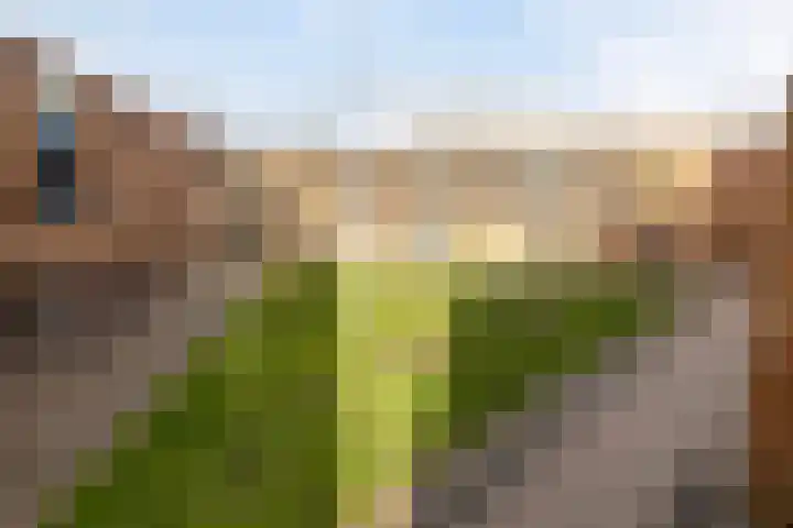 Waterfront 185 Eindhoven thumbnail 22