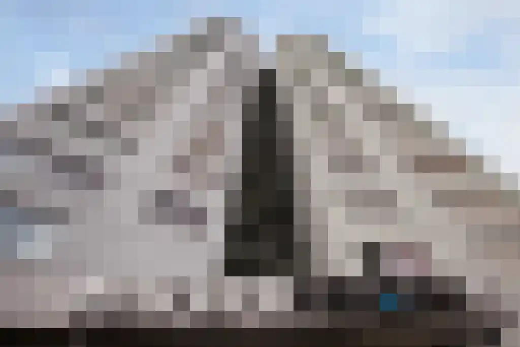 Waterfront 202 a Terneuzen thumbnail 5