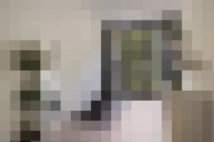 Waterfront 27 Eindhoven thumbnail 36