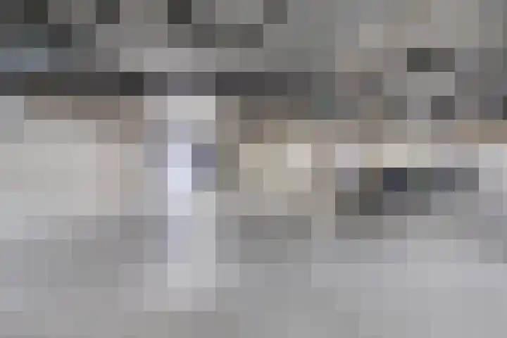 Waterfront 27 Eindhoven thumbnail 42