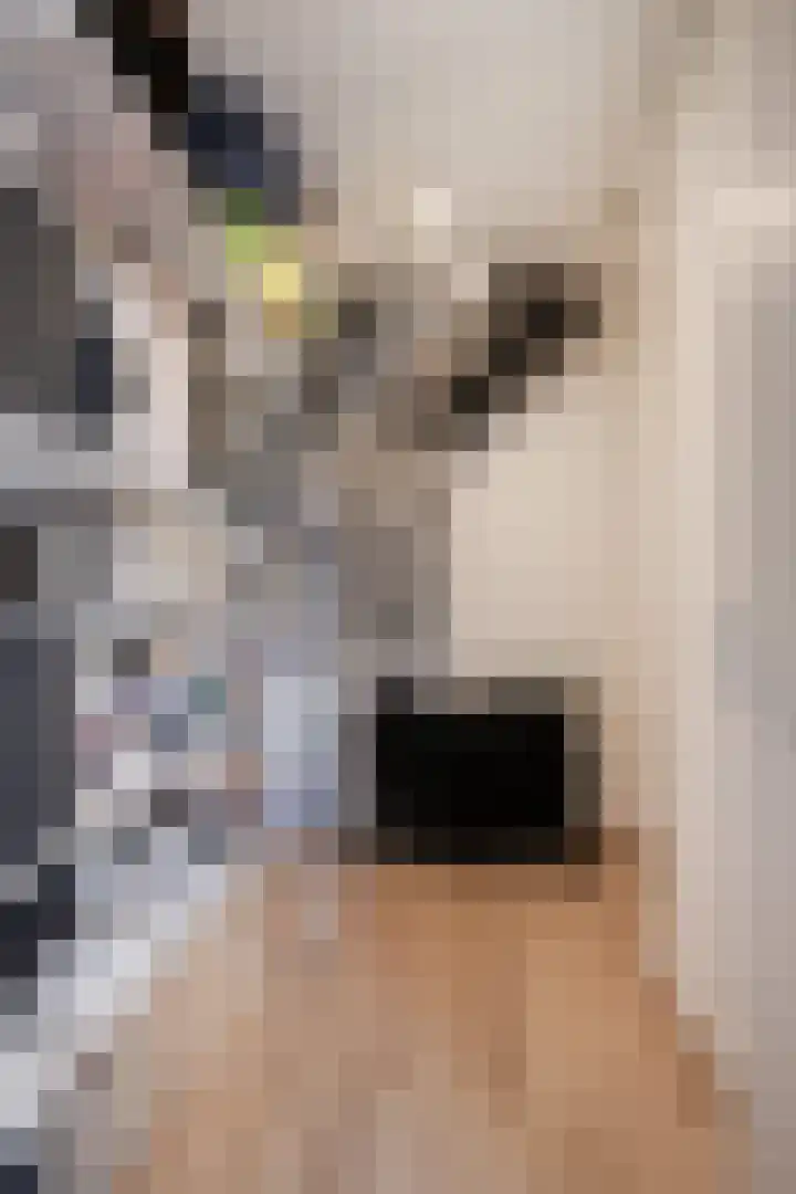 Waterfront 27 Eindhoven thumbnail 9