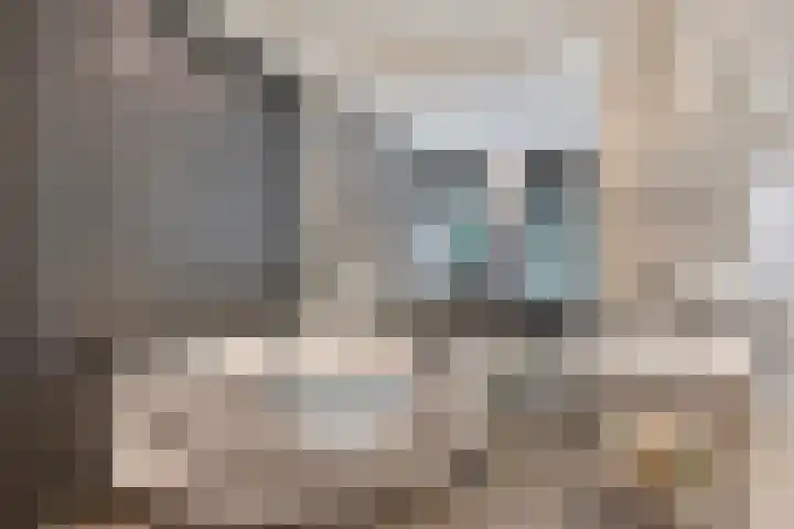 Waterfront 35 Eindhoven thumbnail 13