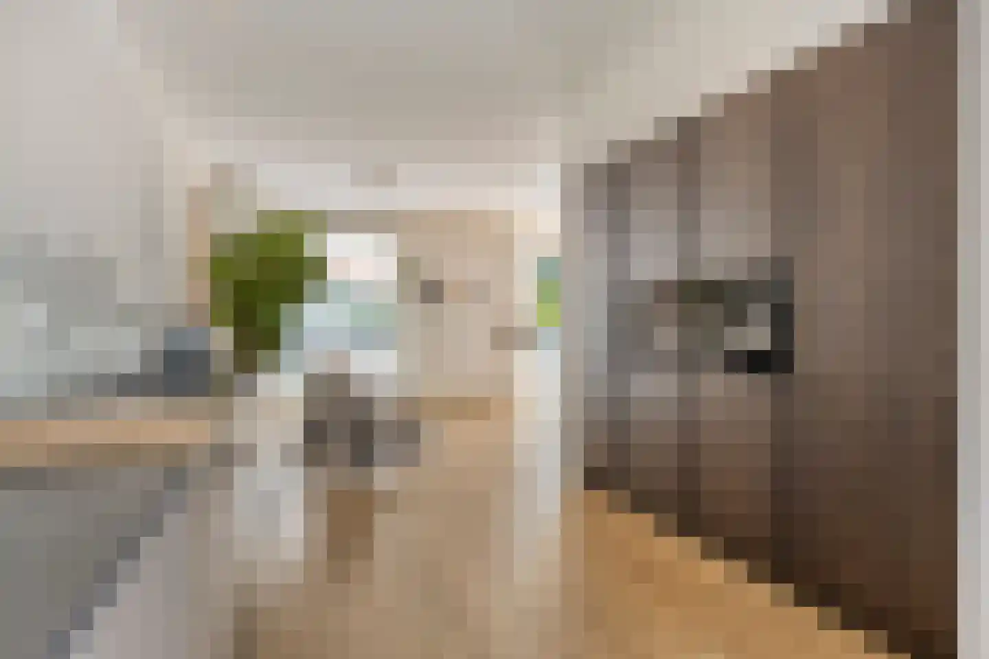 Waterfront 359 Eindhoven thumbnail 21