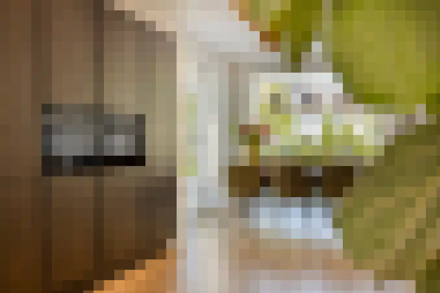 Waterfront 359 Eindhoven thumbnail 27