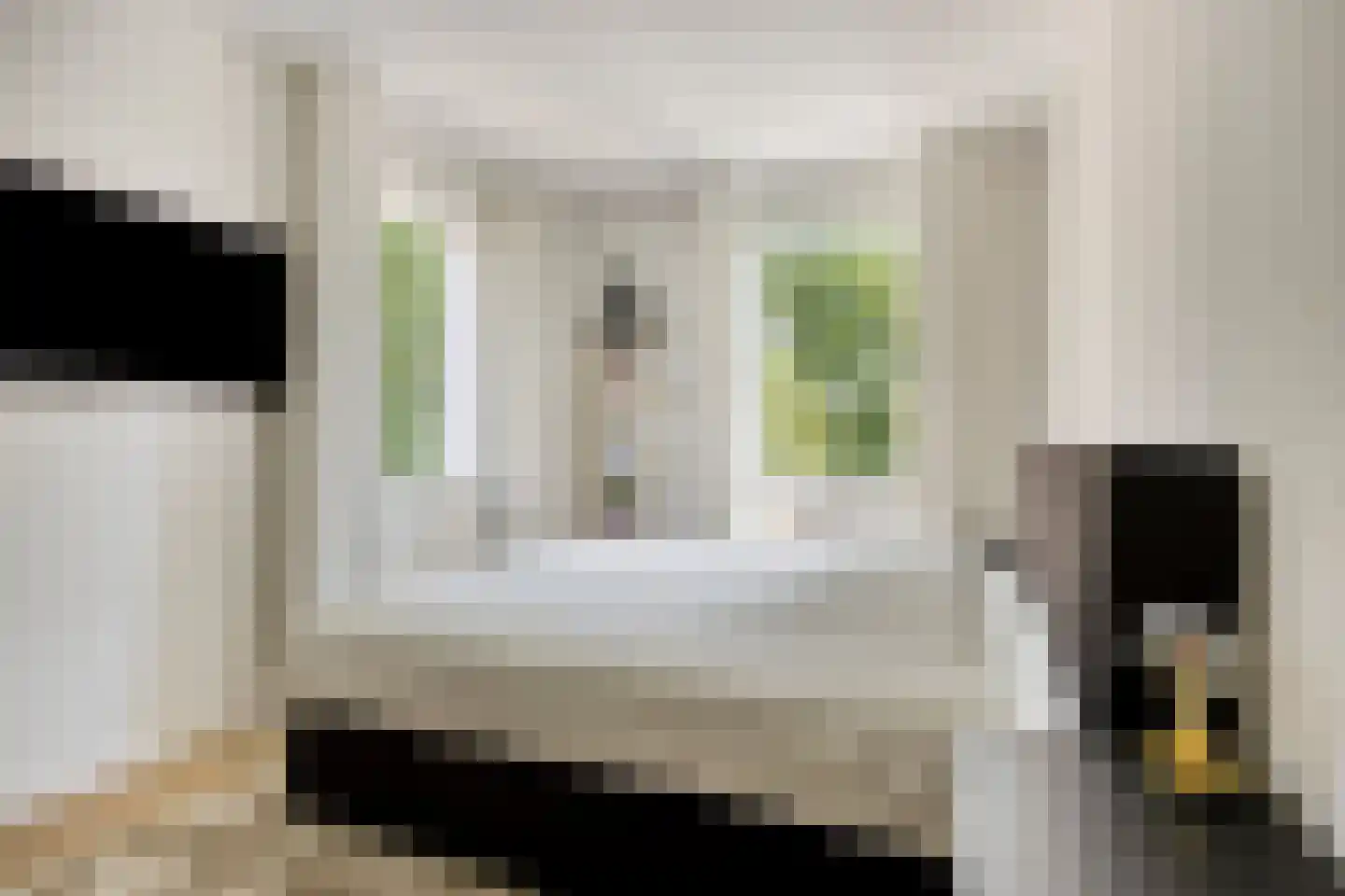 Waterfront 359 Eindhoven thumbnail 30