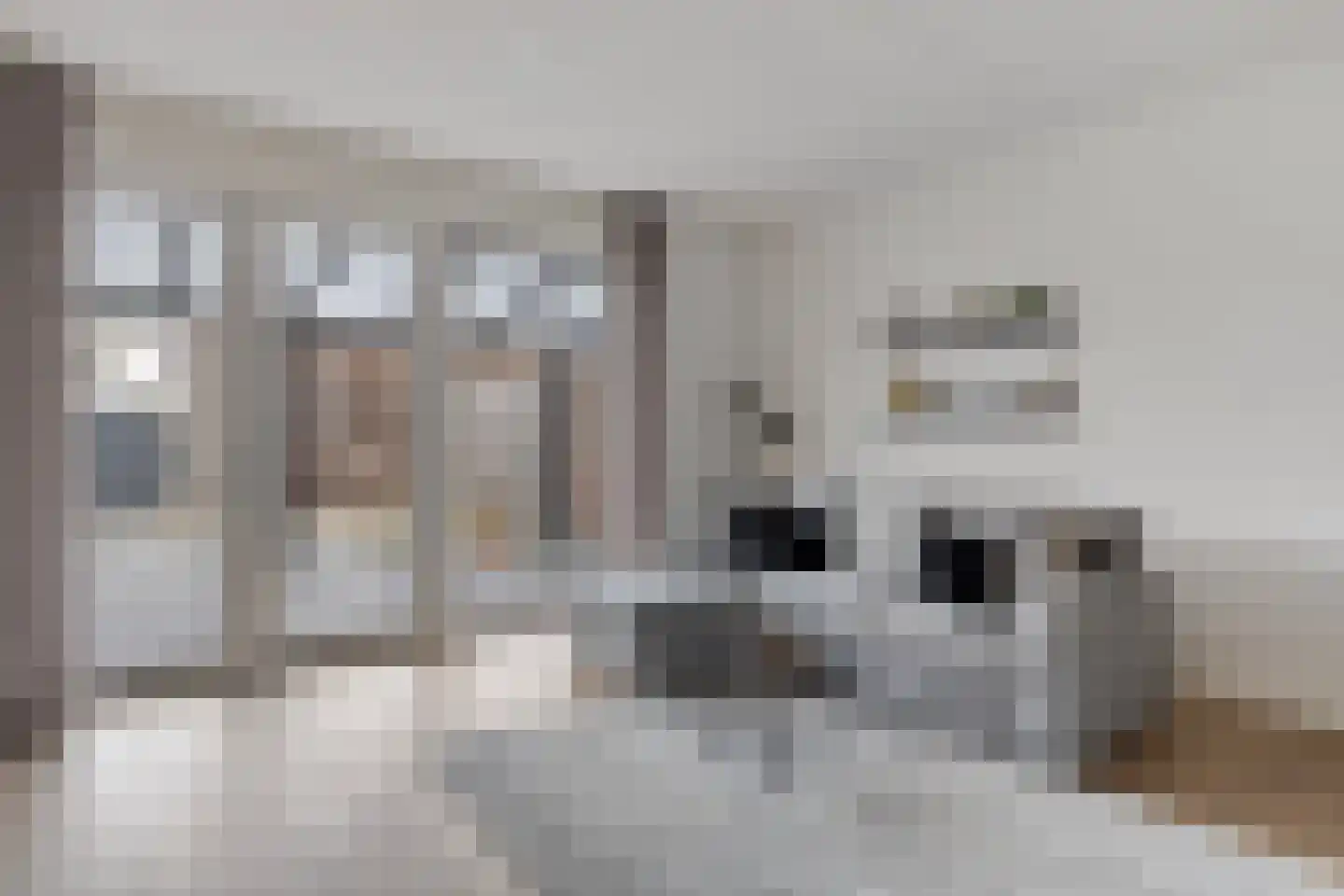 Waterfront 403 Eindhoven thumbnail 6
