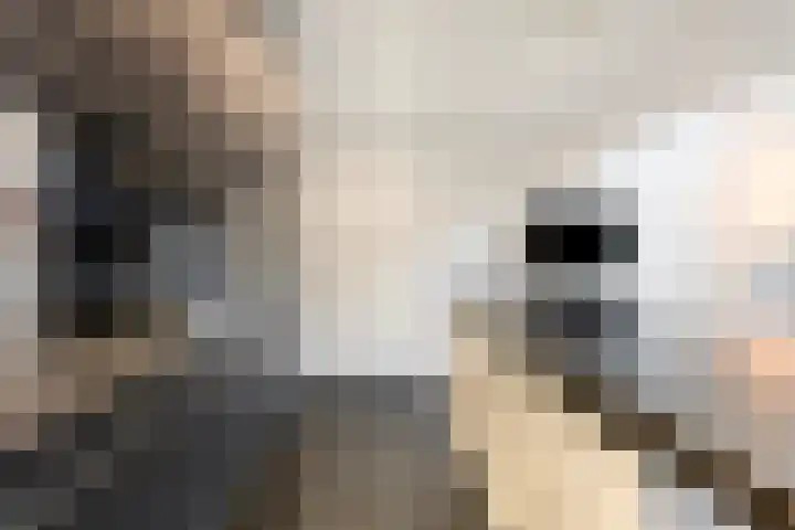 Waterfront 43 Eindhoven thumbnail 17