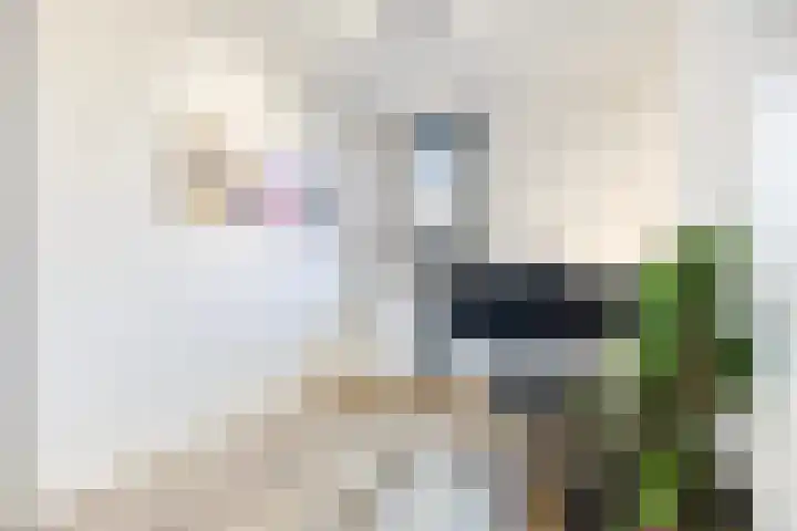 Waterfront 43 Eindhoven thumbnail 30