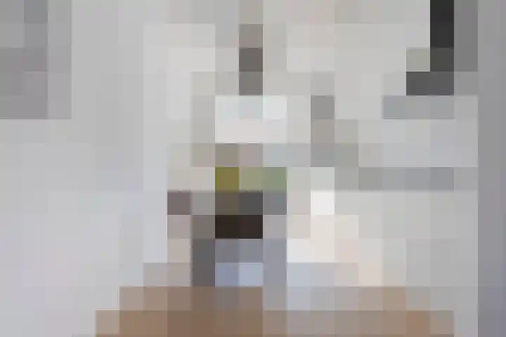 Waterfront 433 Eindhoven thumbnail 10