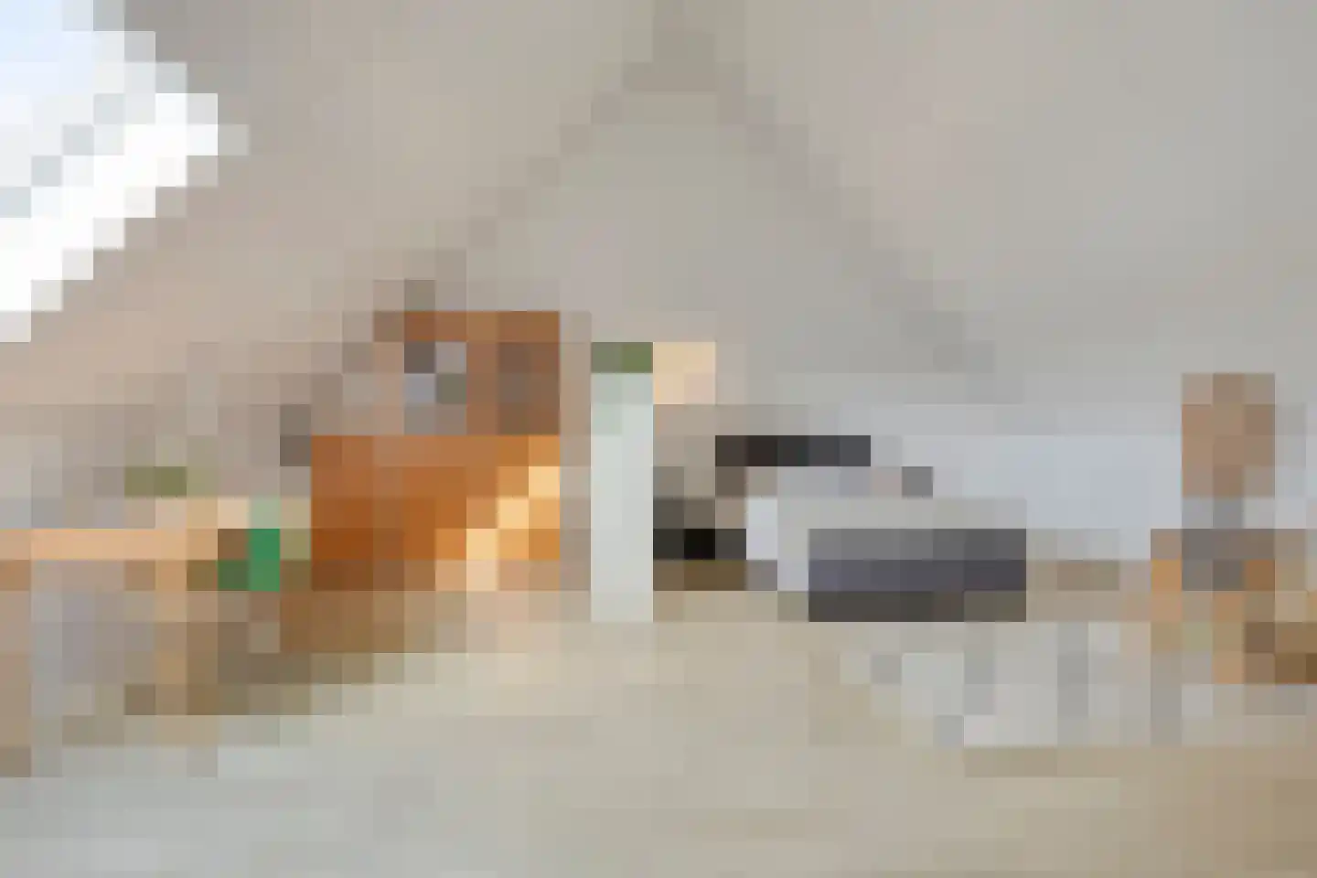 Waterfront 465 Eindhoven thumbnail 12