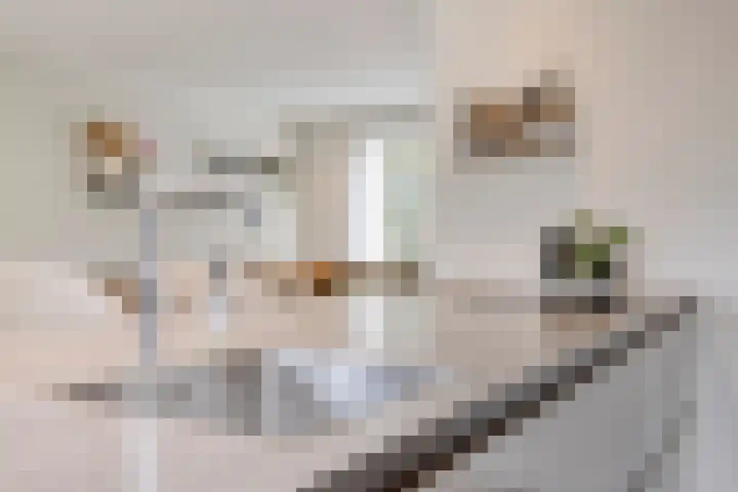 Waterfront 465 Eindhoven thumbnail 25