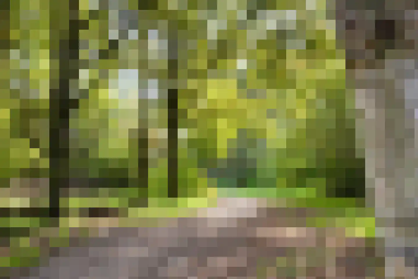 Waterfront 465 Eindhoven thumbnail 47