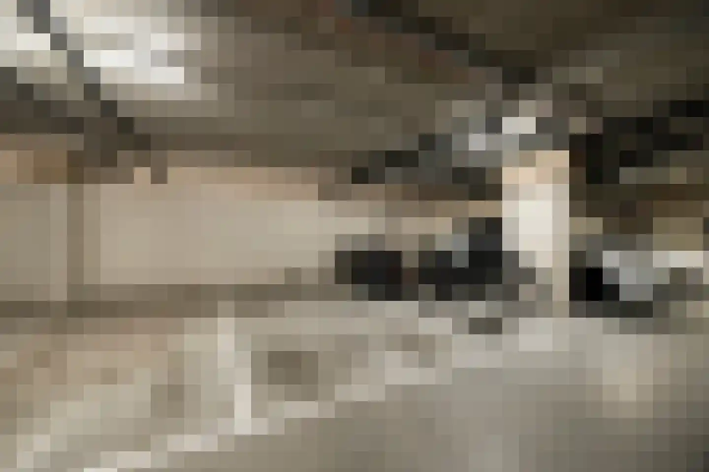 Waterfront 47 Eindhoven thumbnail 29